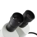 ProZoom Opti 1 Binoküler Stereo Mikroskop