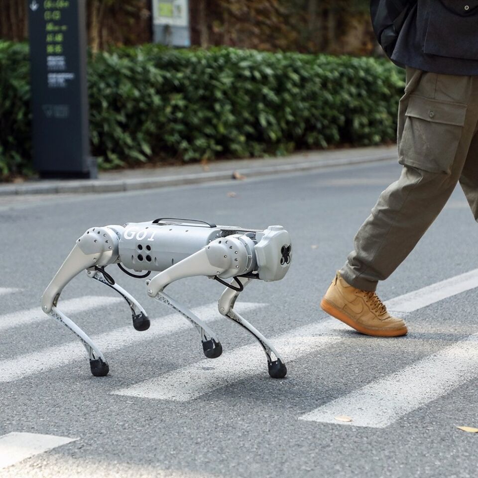 Unitree GO1 Robot
