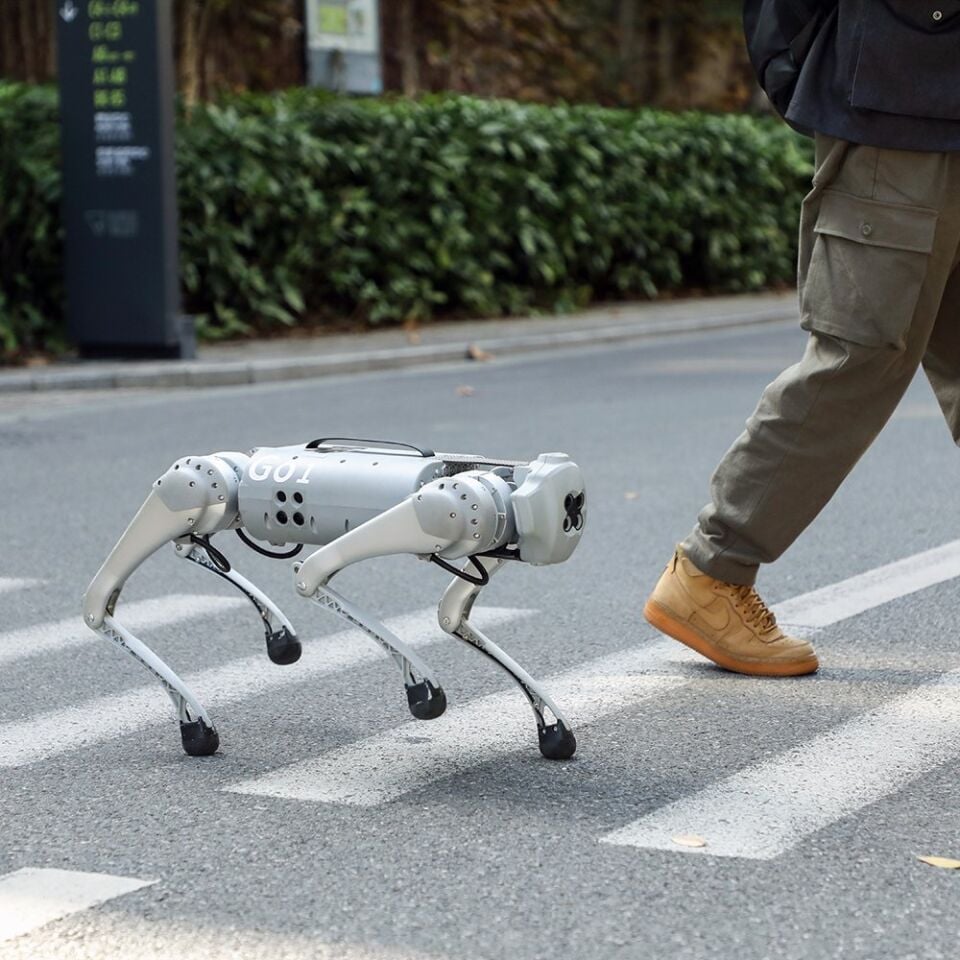 Unitree GO1 Robot