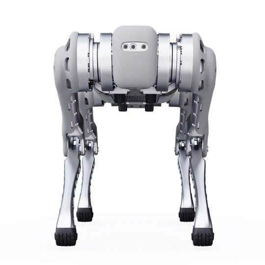 Unitree B1 Robot