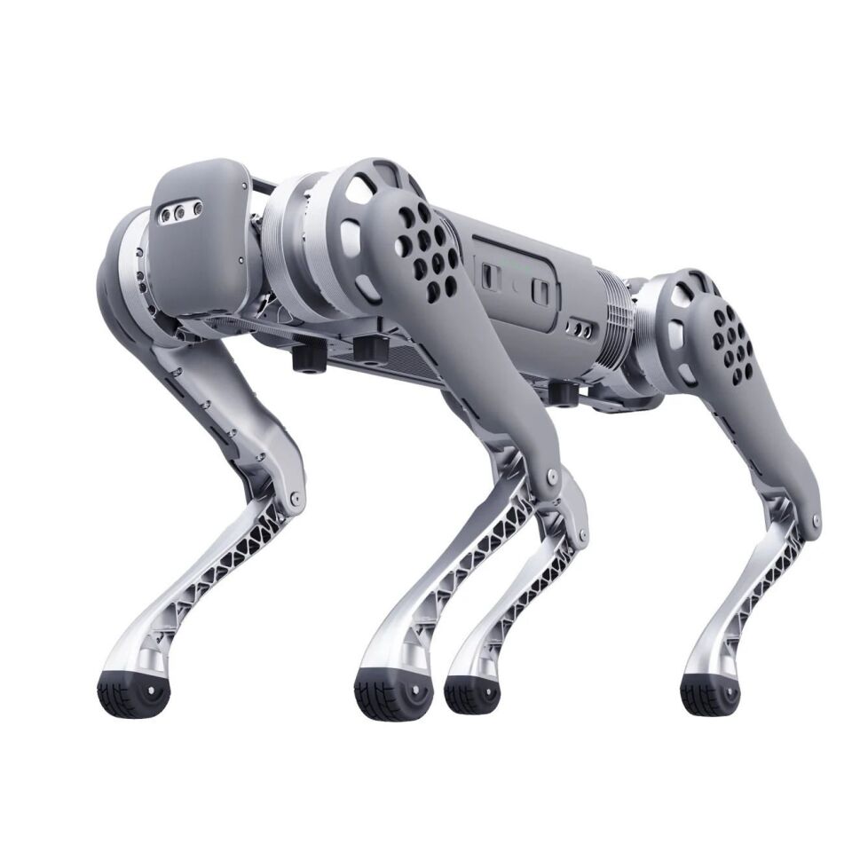 Unitree B1 Robot