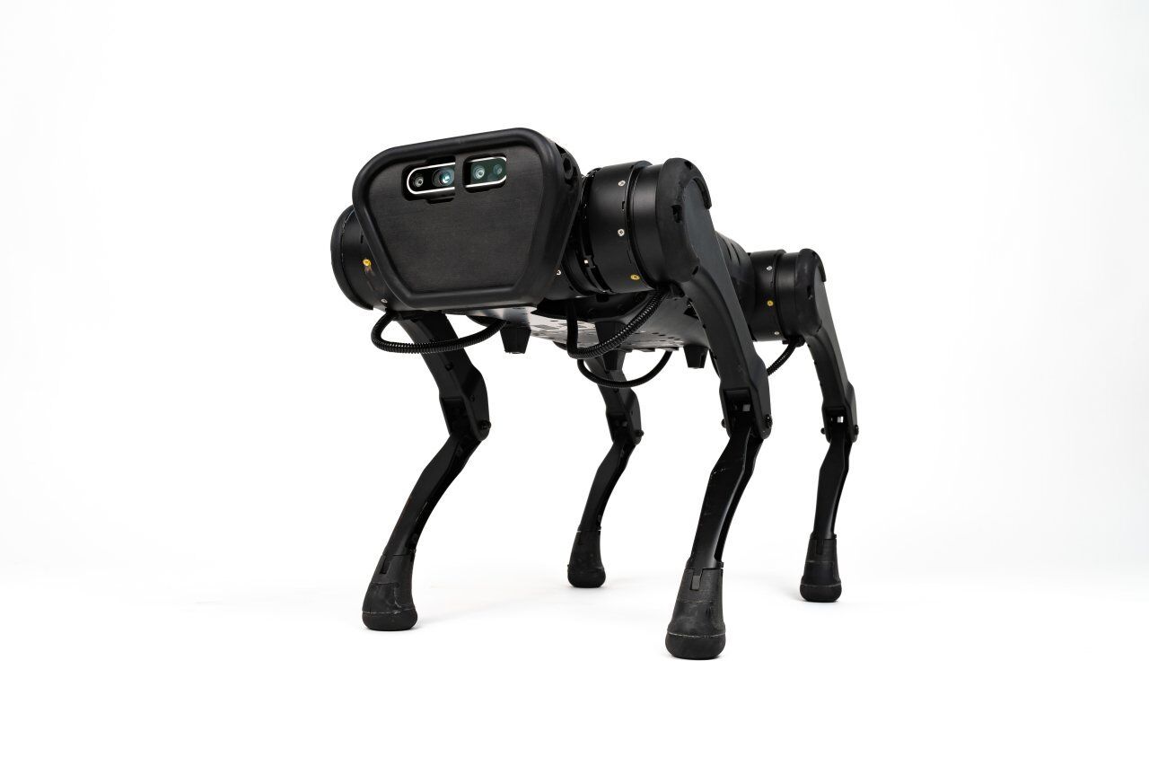 Unitree Aliengo Robot