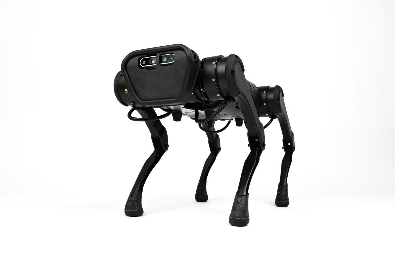 Unitree Aliengo Robot