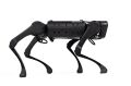 Unitree Aliengo Robot