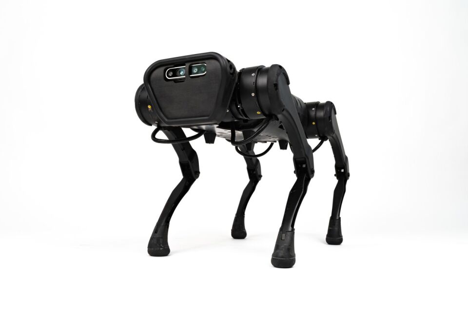 Unitree Aliengo Robot