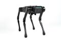 Unitree Aliengo Robot
