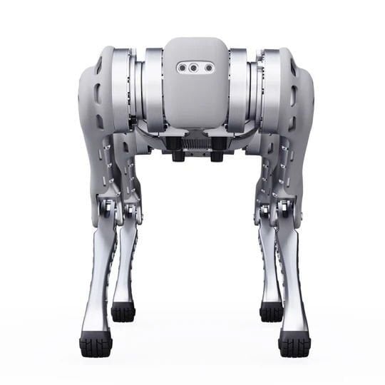 Unitree B1 Robot