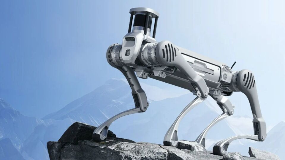 Unitree B2 Güçlü ve Dayanıklı Endüstriyel Robot