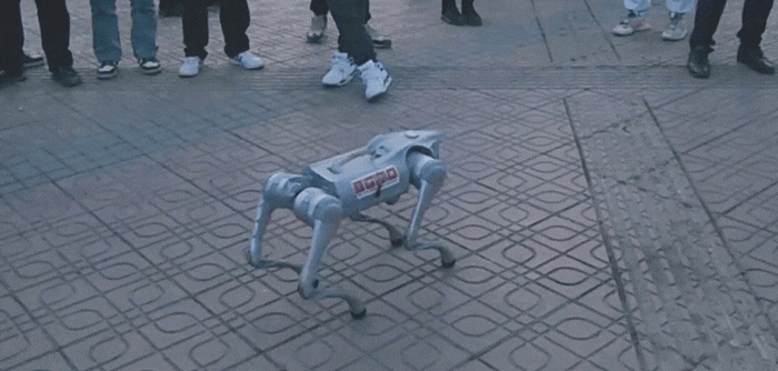 Unitree Go2 köpeğimizi gezmeye çıkarıyoruz.